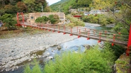 オフィス前には天然の鮎が生息する安田川