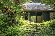 沖縄県北部やんばるに佇む古民家宿。1日1組限定の貸切宿泊でひそかな人気を誇っている。