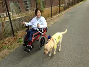 身体障がい者ランナーのつーさんは伴走犬クレアと自分の足でこいでランニングです。