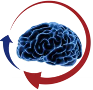 運動と仕事両立するための脳神経科学と理学療法に基づいたコネクト・メソッド