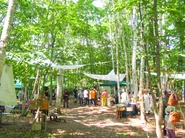 夏は森の中で「森ジャム」というイベントが開かれます