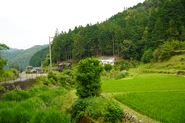 愛媛県松野町目黒集落は、田んぼと山に囲まれた自然豊かで静かな町です。人口270人の限界集落ですが、移住者や観光客にもオープンで優しい、明るい町です。