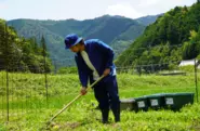 水際のロッジ × 愛染師