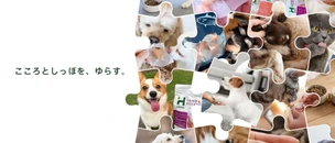 project cover image