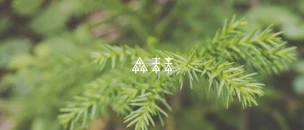 project cover image