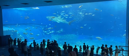2022年　沖縄社員旅行　3日目🌴🌴🌴