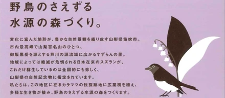 森も未来も育てる、「Present Tree」