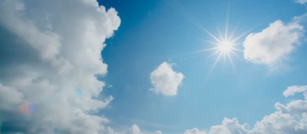 夏の相棒🌞