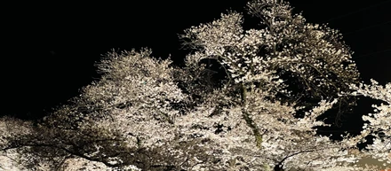 なぜPlusingは生まれたのか。