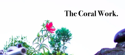 私たちの新しい働き方、Coral Work。
