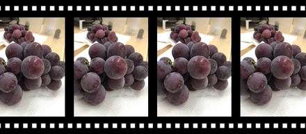 ぶどうを頂きました🍇