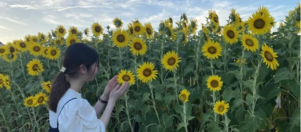 3度の失敗から行き着いたwewicでの長期インターン