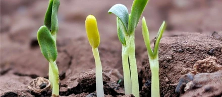 11ヶ月経っての入社エントリー（2回目！）