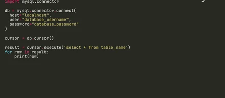 How to use Python MySQL connector?