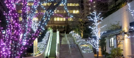 夜景①