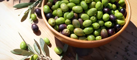 Harvest season