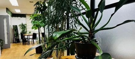 ★オフィス見学ツアー★