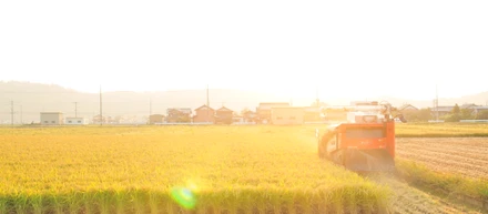 【社員研修レポート】在来種「滋賀旭」の田植え
