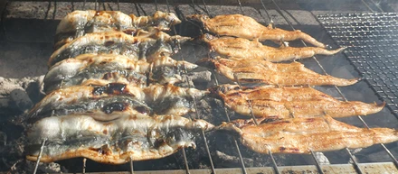 時速30kmで走る蒲焼き