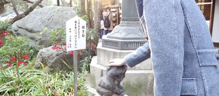 2017年