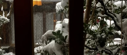 「雪の高澤ろうそく店」