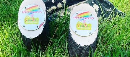 ゴルフde説明会（11月～12月開始日時）に関して⛳