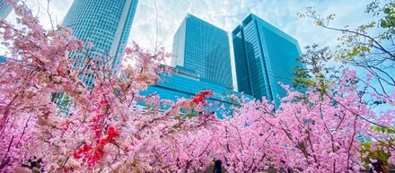 新日本管財株式会社では、マンション管理フロント職募集！