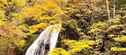 世界遺産のふもとで暮らすってどんな景色なの？