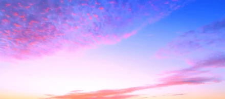 ＃１ 政策秘書からすべてが始まった