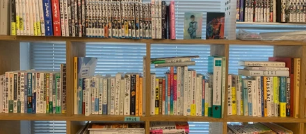 【新卒1年目のお仕事日記】オフィスの本棚紹介🎶
