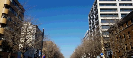 いちょう並木通りにて。