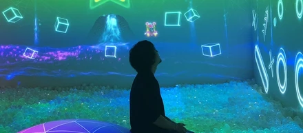 『テーマパーク』を作るエンジニア（Unity & Web）の仕事とは