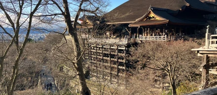京都旅🏯