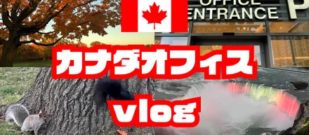 【カナダオフィス】2年目 インフラエンジニア の 海外研修 vlog【オンタリオ州】