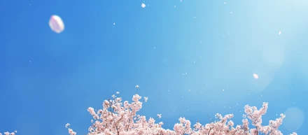 【代表インタビュー】代表ってどんな人？企業した経緯！