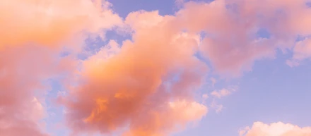 【ワクワクとドキドキ】夢中になれる何かを探している人に聞いてほしい私のはなし。
