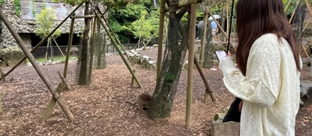 理系大学院生が長期インターンを始めたお話