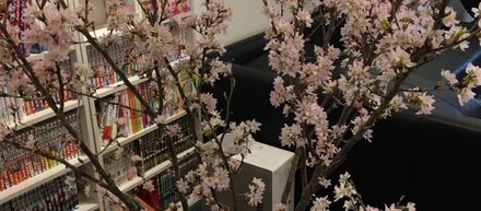 【暦の上での春】