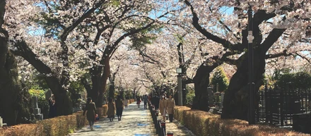 お散歩好きが歩く青山一丁目