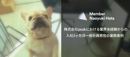 株式会社peakにおける業界未経験からの入社3ヶ月目一般社員男性の業務事例