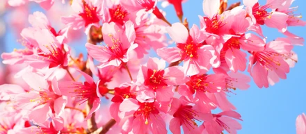 リベンリで３月に起きた「超驚ニュース」をお伝えします。