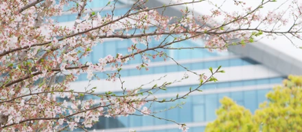 4月の勉強会を行いました！