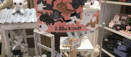 今週、２/２２はネコの日♪