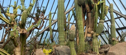シャボテン動物公園