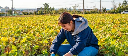【社員インタビュー#2】将来のことも考えて選んだ会社が薄井青果だった。