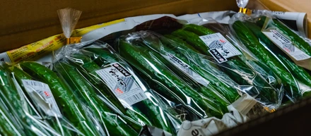 【社員インタビュー#3】企画、仕入れ、販売することの面白さとコミュニケーションの重要性