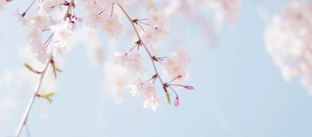 加須東中学校入学式祝辞(令和４年度)