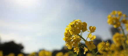 Elixirの旨味を調べてみた。