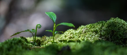 私たちだからこそ挑める 「あめつちの心」を伝える使命（下）