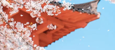 ご縁